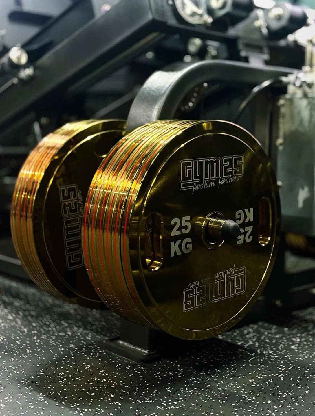 GYM 25 gold plates at GYM 25